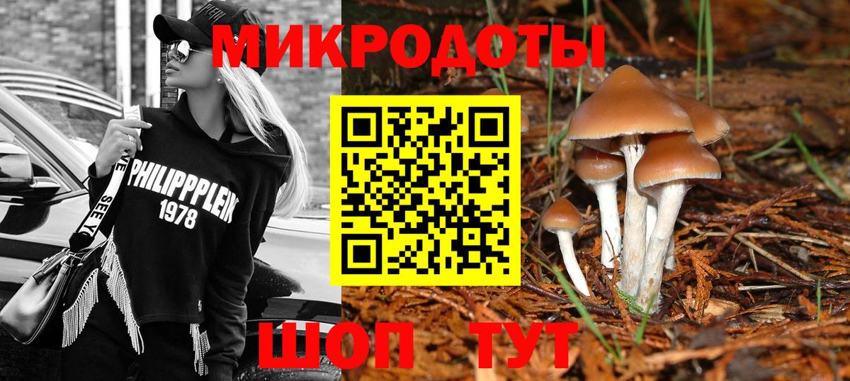 Псилоцибиновые грибы Psilocybe  как найти наркотики  Кумертау 